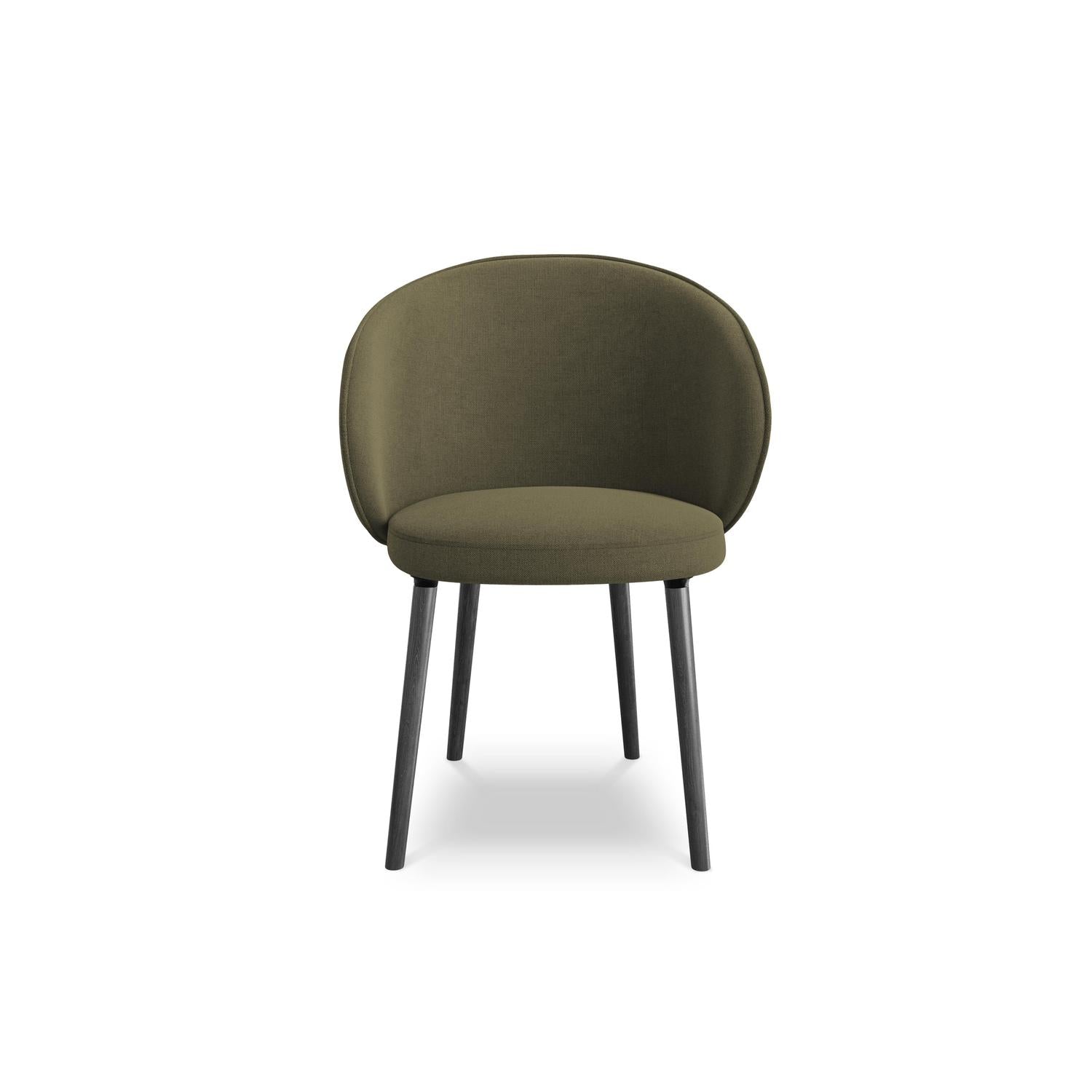 Moly - Davis - Oliwkowy