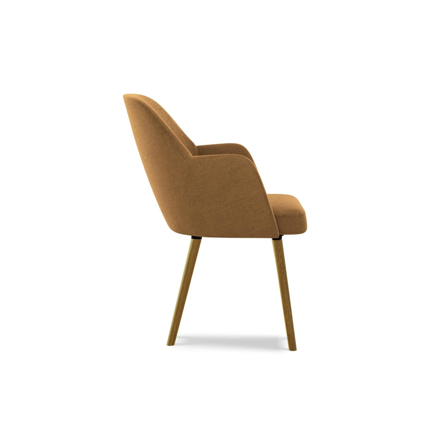 Moly - Davis - Terakota