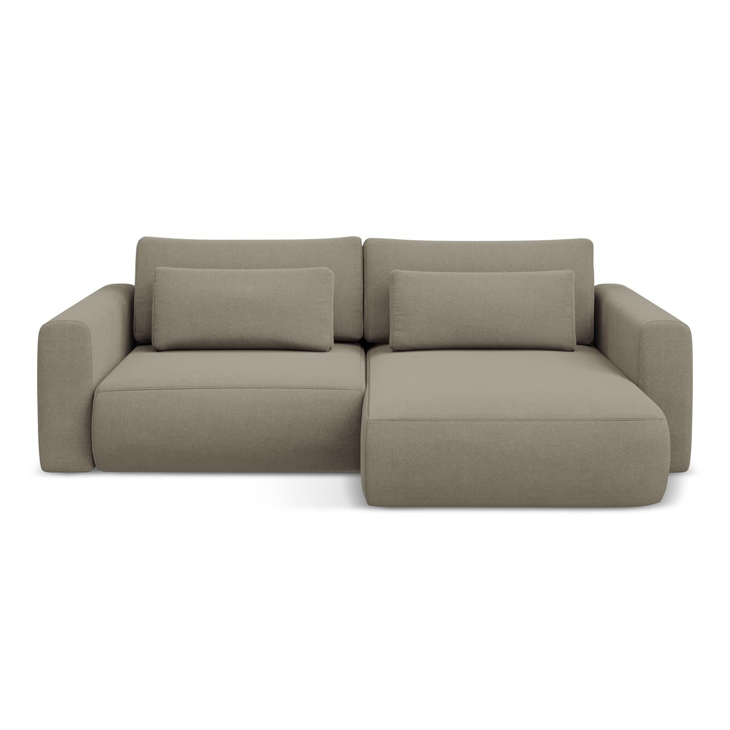 Point - Davis - Ciemny beż / Prawy