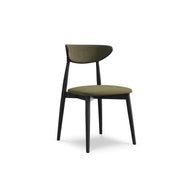 Moly - Davis - Oliwkowy