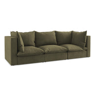 Moly - Davis - Oliwkowy