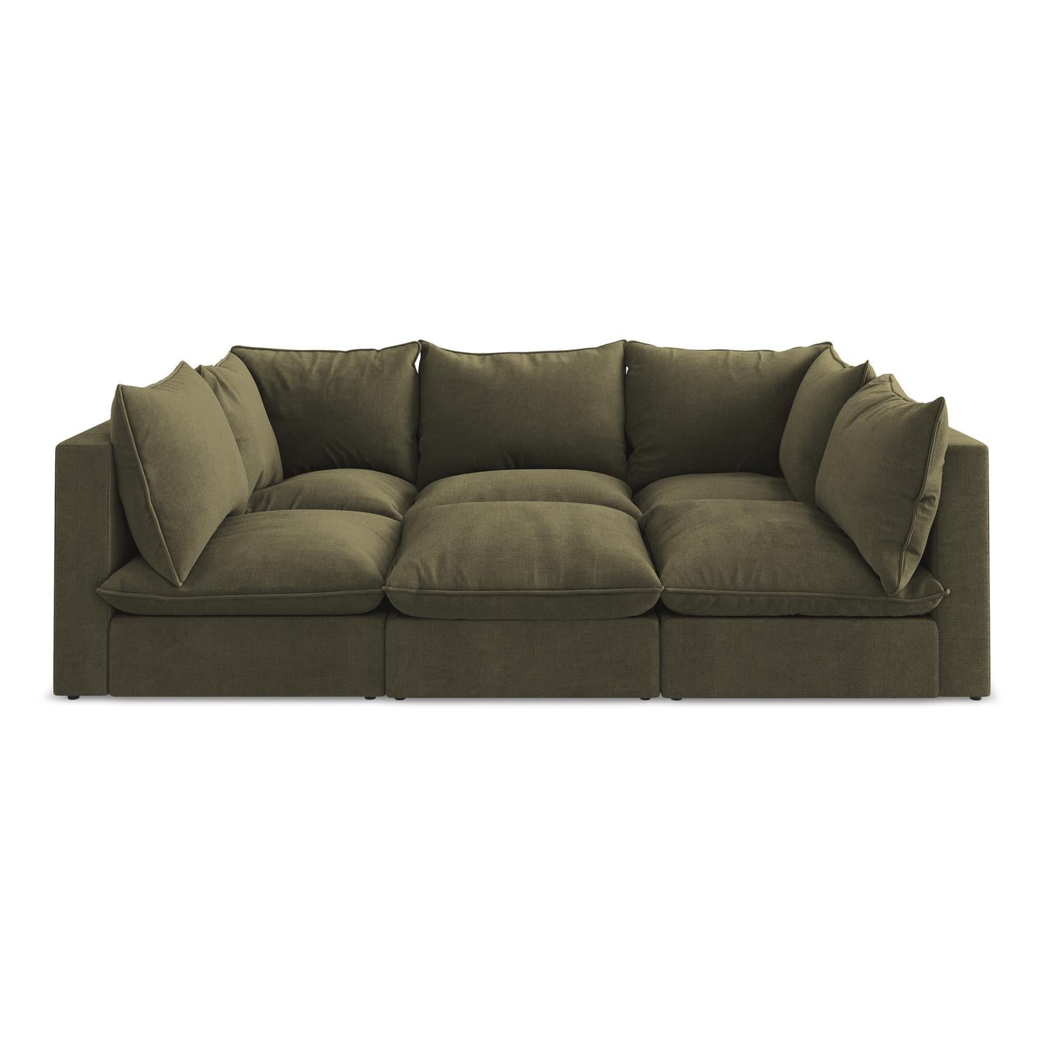 Moly - Davis - Oliwkowy